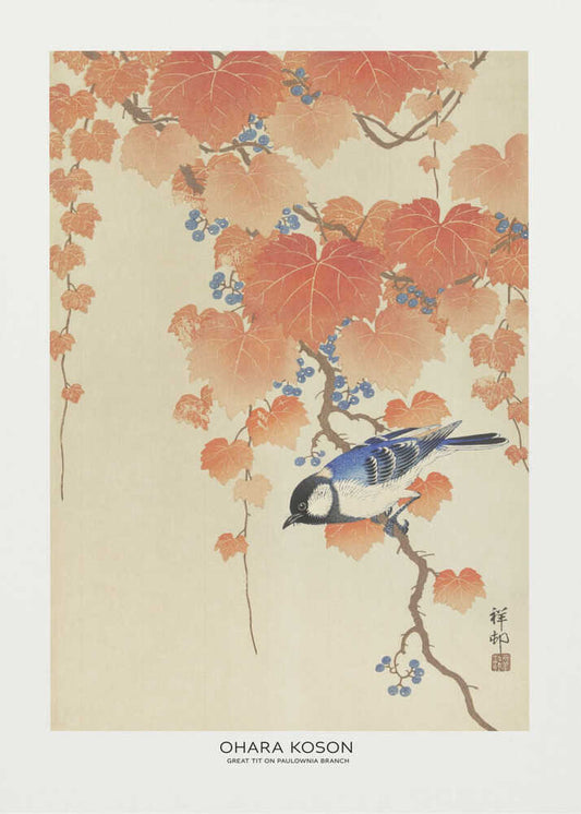 Great Tit On Paulownia Branch - XL Poster