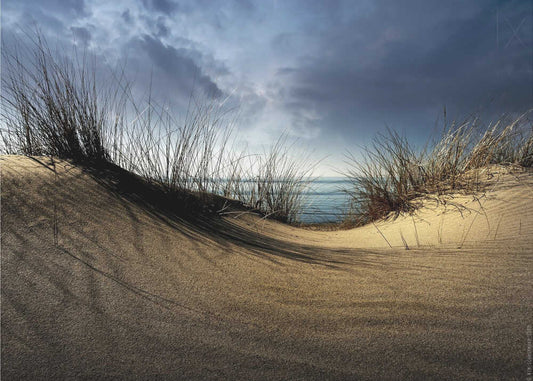 Sandy Dune Ocean View - XL Poster