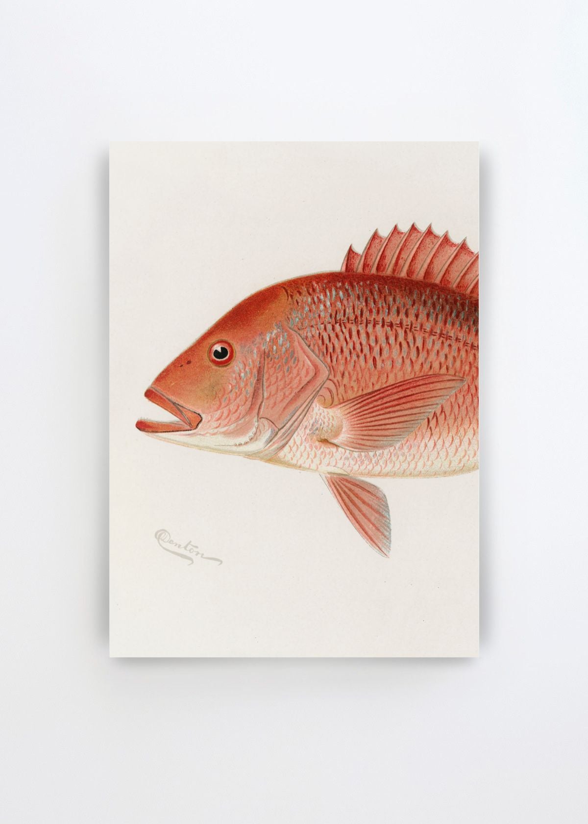 Gallery Wall no. 6