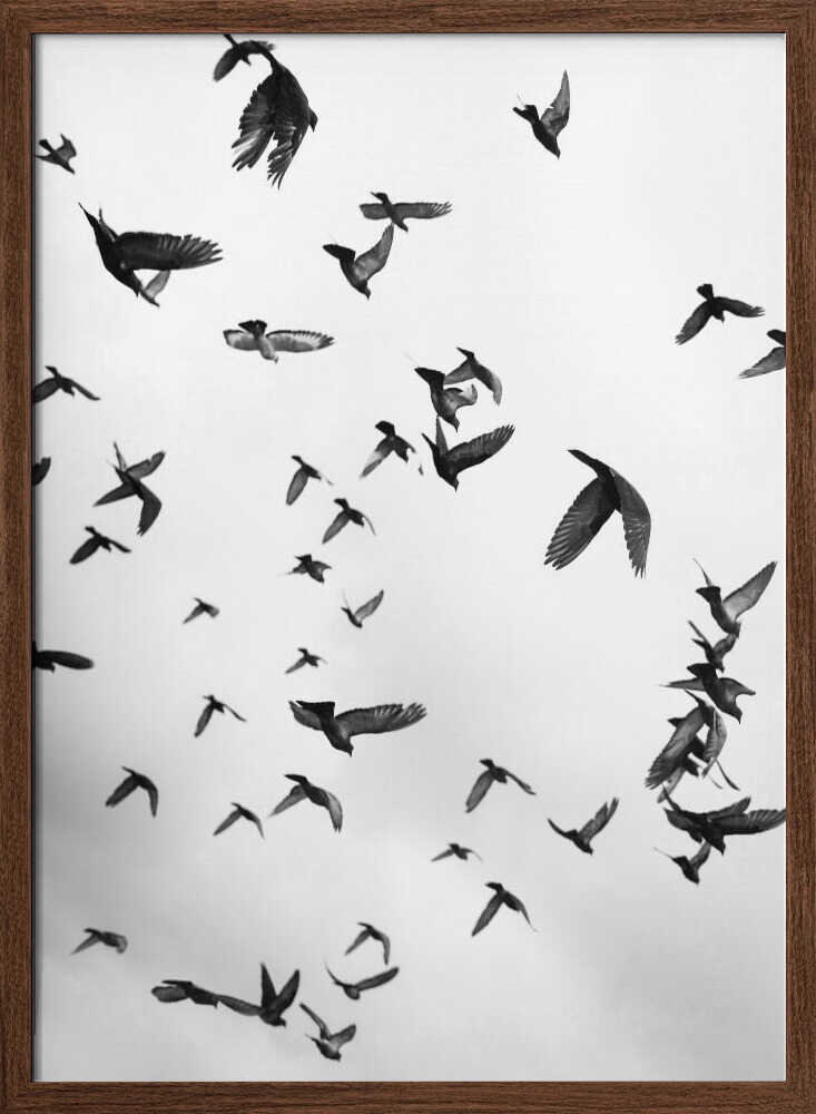 Skyward Symphony - XL Poster