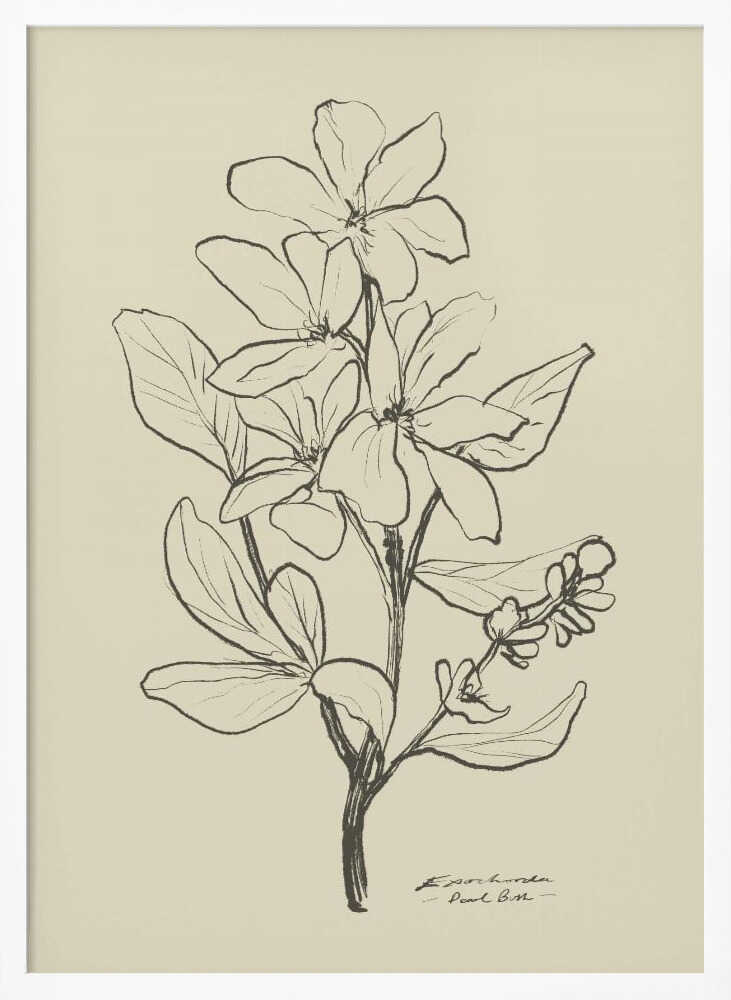 Floral 1 - XL Poster