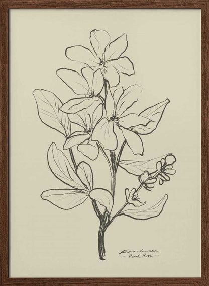 Floral 1 - XL Poster