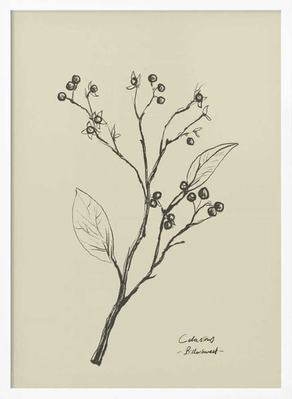 Floral 2 - XL Poster