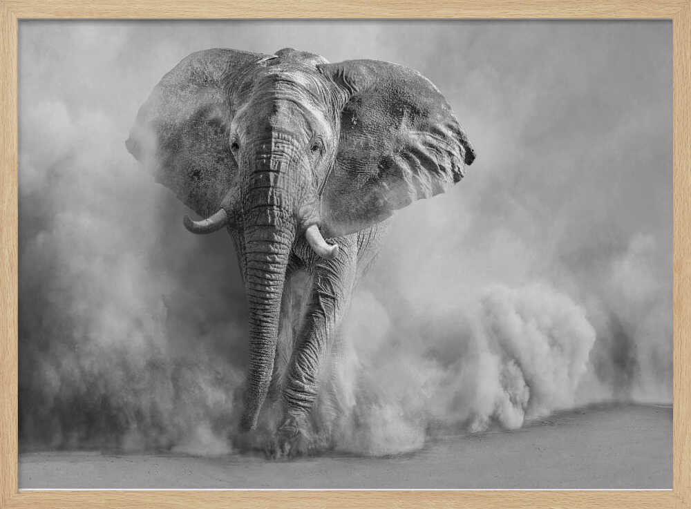 Majestic Elephant Dust Cloud - XL Poster