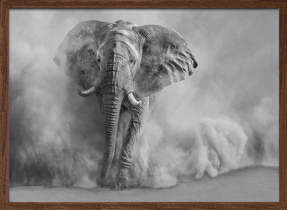Majestic Elephant Dust Cloud - XL Poster