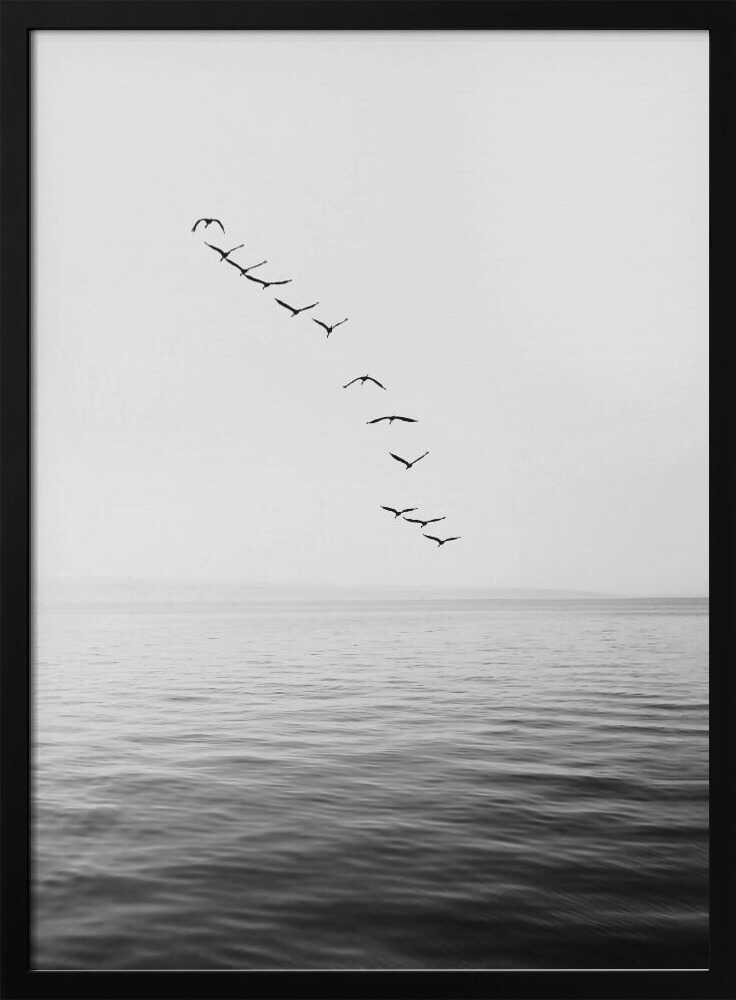 Flying Birds - XL Poster