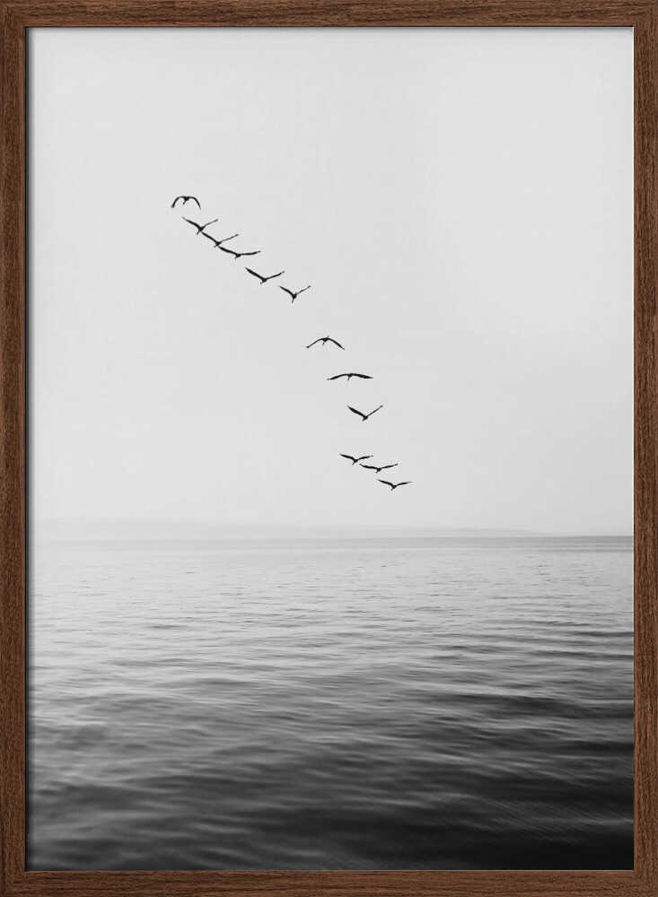Flying Birds - XL Poster