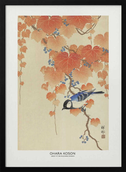 Great Tit On Paulownia Branch - XL Poster