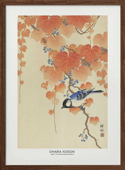 Great Tit On Paulownia Branch - XL Poster