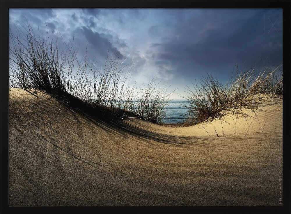 Sandy Dune Ocean View - XL Poster