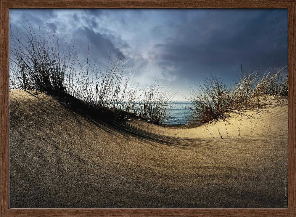 Sandy Dune Ocean View - XL Poster