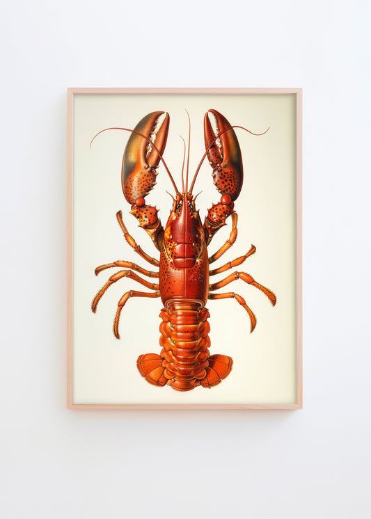 Poster of a detailed lobster illustration with vibrant red and orange tones on a neutral background, perfect for kitchens or marine-themed spaces.