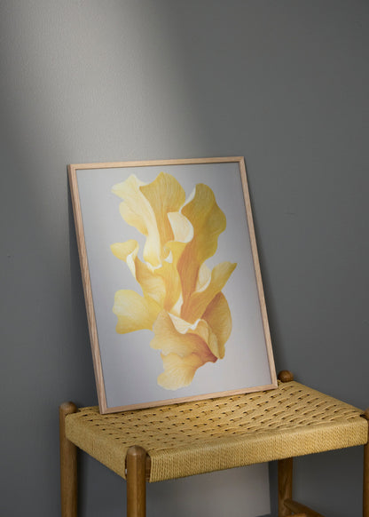 Shape no. 60 poster from HelloPoster displayed in oak frame on woven chair against grey wall, abstract yellow organic shapes