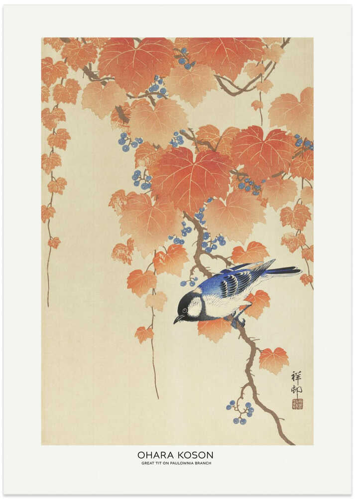 Great Tit On Paulownia Branch - XL Poster